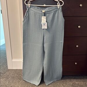 Wide Leg Pants in Light Blue